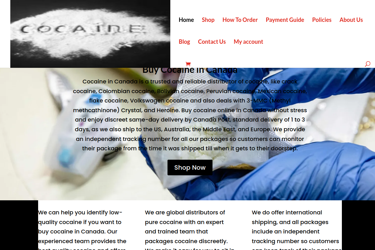 cocaineincanada.io – Scam Probe Report
